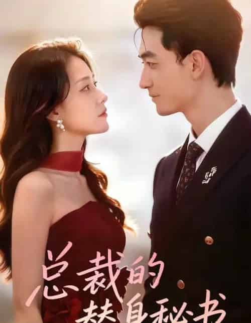 总裁的替身秘书（69集全）李书滔＆韩佳芯-搜外项目网
