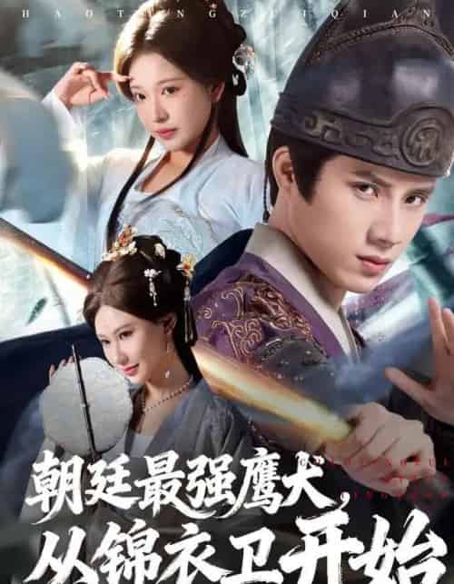 朝廷最强鹰犬，从锦衣卫开始（83集全）华越＆韩金明-搜外项目网