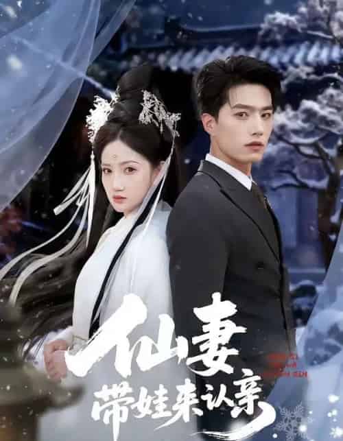 仙妻带娃来认亲（66集全）陈子豪＆毕柔-搜外项目网