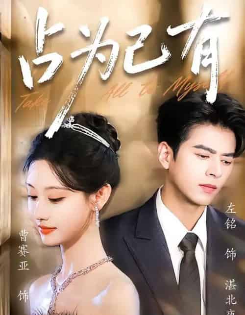 占为己有（60集全）左铭＆曹赛亚-搜外项目网