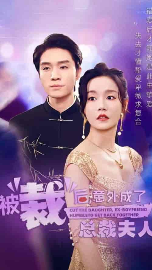 被裁后，意外成了总裁夫人（70集全）汤圆-搜外项目网