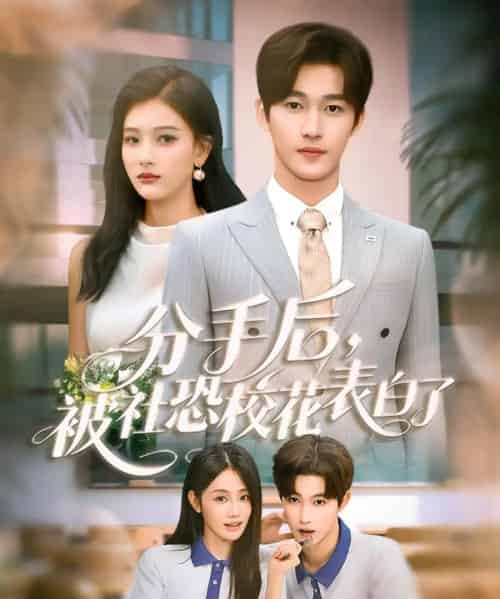 分手后，被社恐校花表白了（80集）穆萌＆史敬瑞-搜外项目网