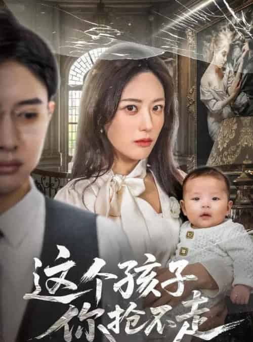 这个孩子你抢不走（45集全）陈程玉＆胡继月-搜外项目网