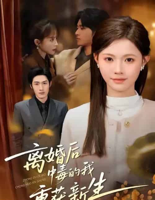 离婚后中毒的我重获新生(52集全)丁紫嫣&张易嵘&单樱杰-搜外项目网