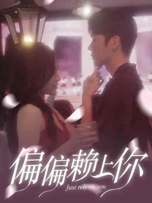 偏偏赖上你(91集全)程琳淼-搜外项目网