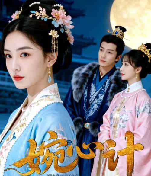 婉心计（49集全）AI-搜外项目网