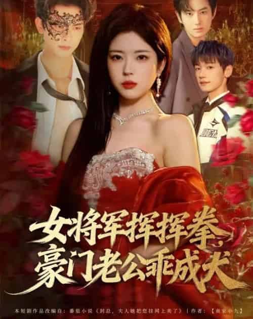 女将军挥挥拳,豪门老公乖成犬(80集全)韦若辰&熊安妮-搜外项目网