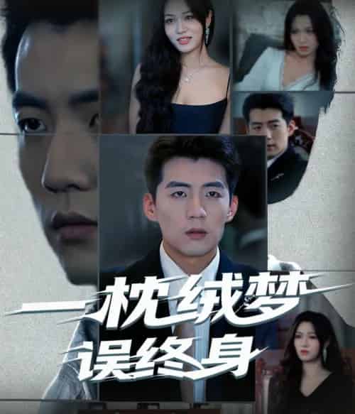 一枕绒梦误终身(60集全)杜培源&刘昕悦-搜外项目网