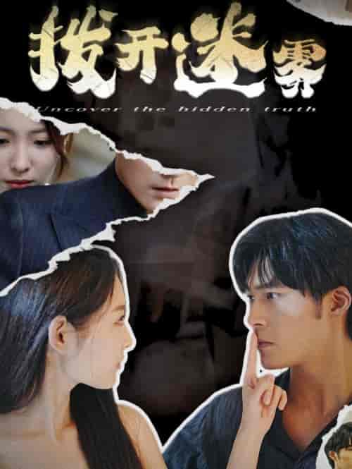 拨开迷雾（85集全）澄芓-搜外项目网