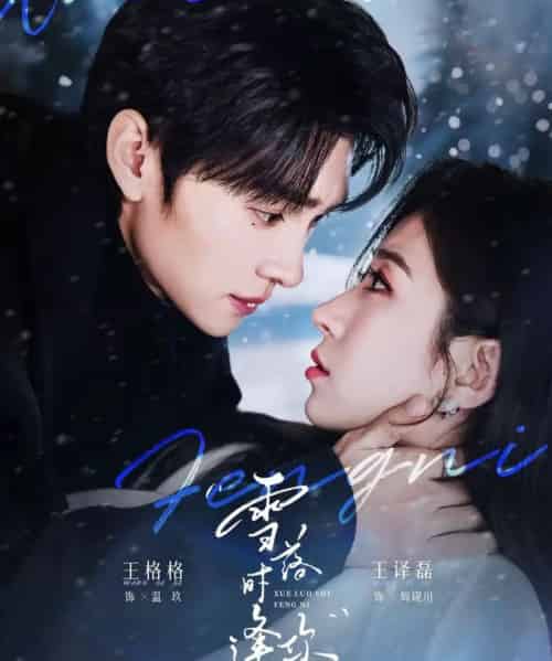 雪落时逢你(75集全)王译磊&王格格-搜外项目网