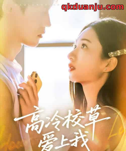 高冷校草爱上我（80集全）贺宇＆谭盐盐-搜外项目网