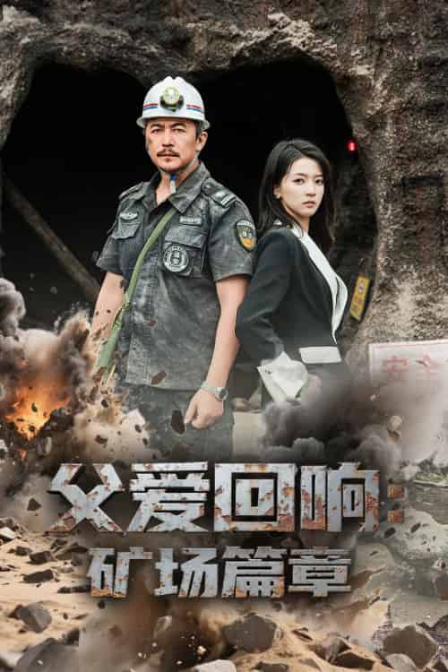 父爱回响矿场篇章（52集全）朱诗妤＆邢琪琦-搜外项目网
