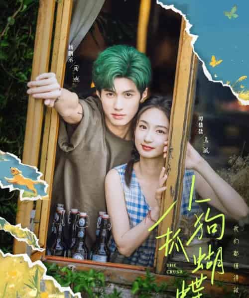 小狗抓蝴蝶（75集）谭盐盐＆杨鹏丞-搜外项目网