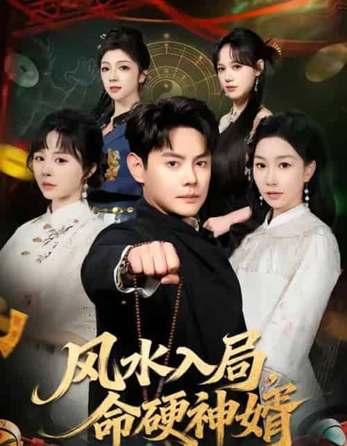 风水入局，命硬神婿（80集全）邱浩轩＆张馨悦-搜外项目网