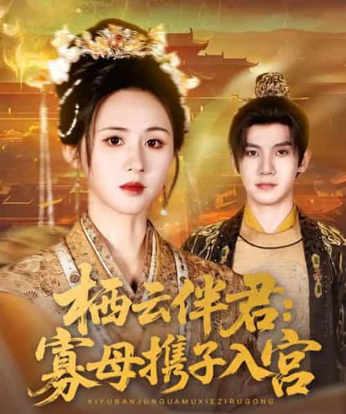 栖云伴君寡母携子入宫(89集)吴宇航&书雪漫-搜外项目网