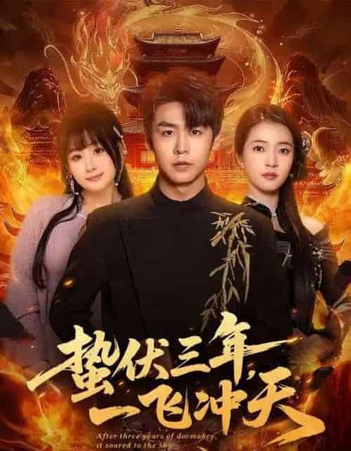 蛰伏三年，一飞冲天（60集全）孔德瑞＆刘浔-搜外项目网
