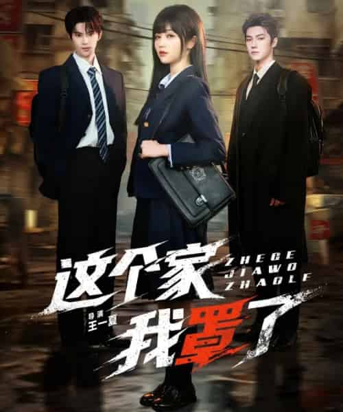 这个家我罩了(60集全)张庭睿&岳雨婷&邵巍-搜外项目网