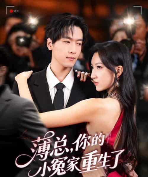 薄总，你的小冤家重生了（67集）陆路＆韩非儿-搜外项目网