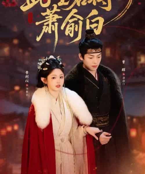 此生若得萧俞白(53集全)李柯以&曾辉-搜外项目网