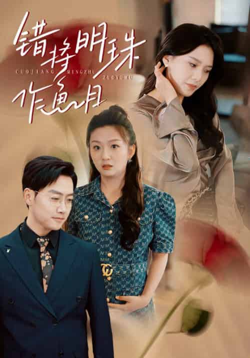 错将明珠作鱼目（40集全）沈庆文＆韩雪颖-搜外项目网