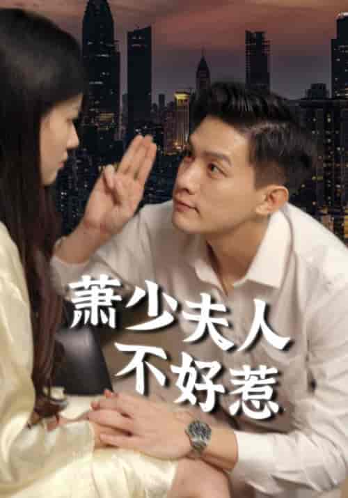 萧少夫人不好惹（100集全）萧冬清＆姜妍-搜外项目网