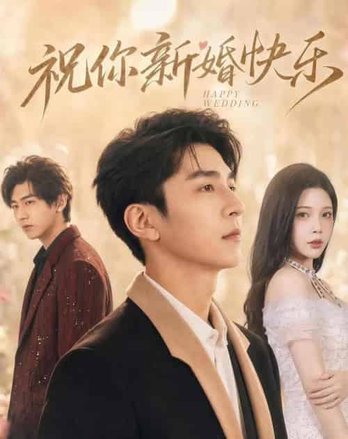 祝你新婚快乐（60集全）韩旭＆张琴-搜外项目网