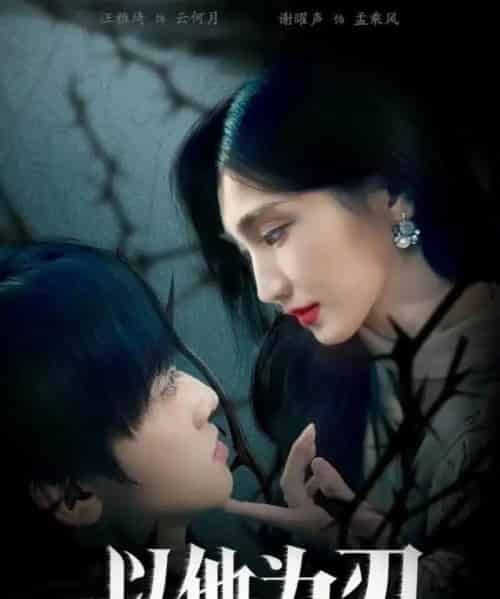 以他为刃（60集全）汪雅琦＆谢曜声-搜外项目网