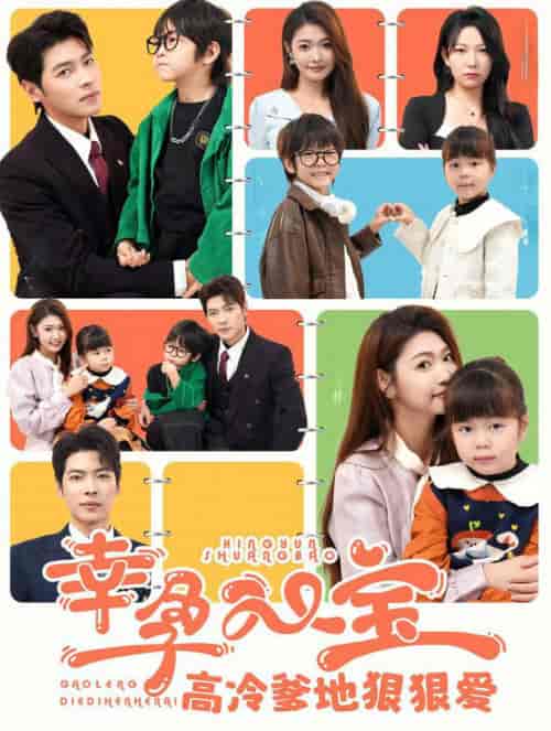 幸孕双宝高冷爹地狠狠爱（80集全）张幸运＆董一-搜外项目网