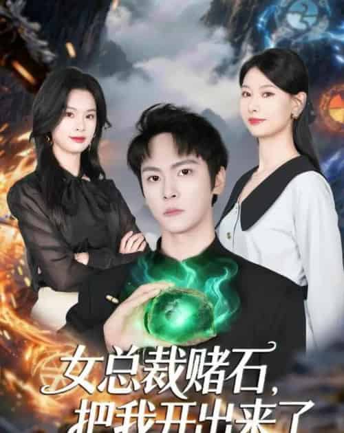 女总裁赌石，把我开出来了（76集全）李硕＆杨静怡-搜外项目网