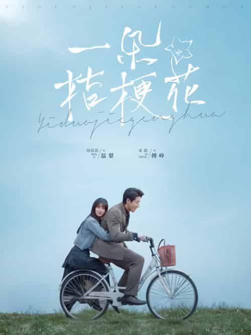 一朵桔梗花（71集全）宋晨＆田苗苗-搜外项目网