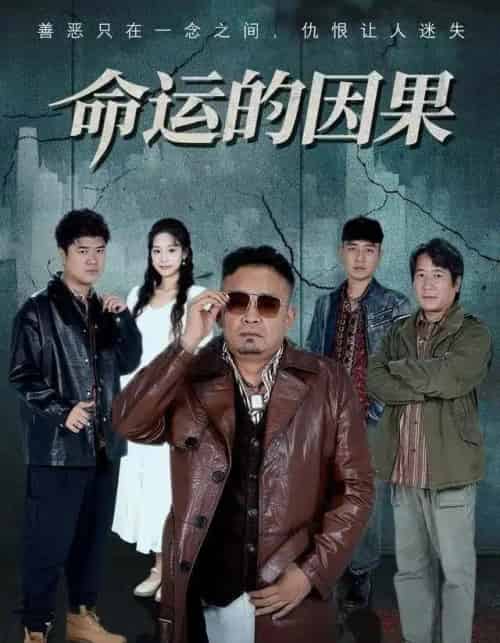 命运的因果(60集全)贾楠&刘诣文-搜外项目网