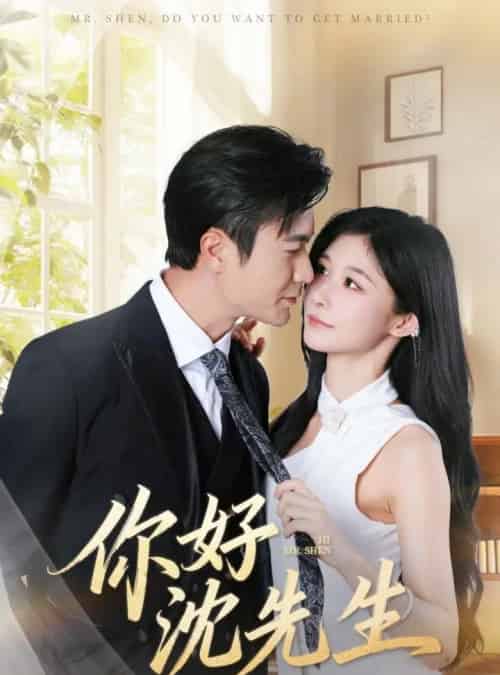 你好沈先生（52集全）罗佳豪＆孙妍恩-搜外项目网