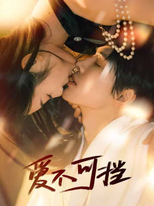 爱不可挡（60集全）张萓紘＆赵晴-搜外项目网