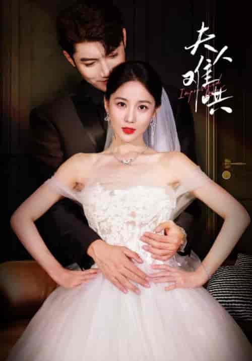 夫人难哄（53集全）韩东来＆钟灵-搜外项目网