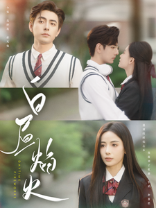 白昼焰火（100集全）李豪＆张珊-搜外项目网