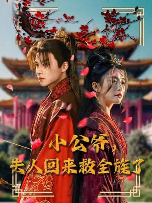 小公爷夫人回来救全族了(100集全)黄子淇&雷笑语-搜外项目网