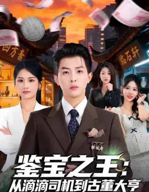 鉴宝之王：从滴滴司机到古董大亨（80集全）张佳艺＆周亦燃-搜外项目网