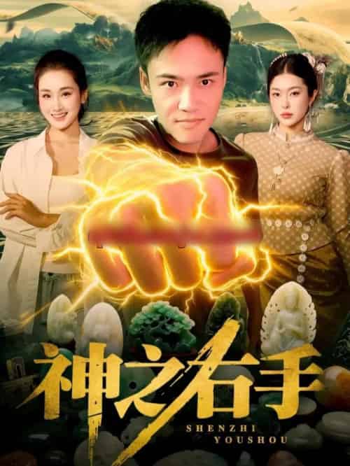 神之右手(100集全)理艺如&王行宇-搜外项目网