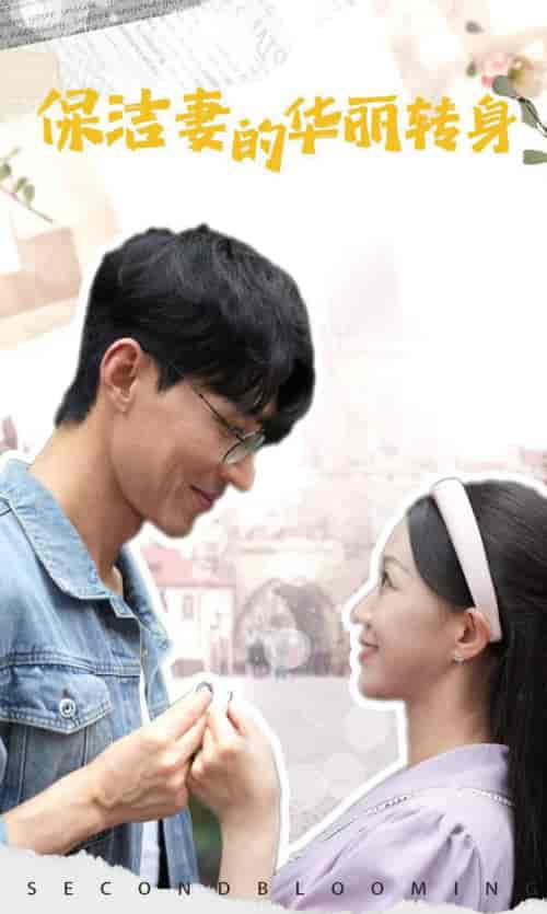 保洁妻的华丽转身（50集全）-搜外项目网