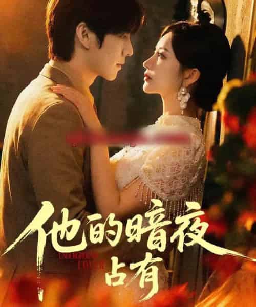他的暗夜占有（71集全）袁初年＆阿君-搜外项目网