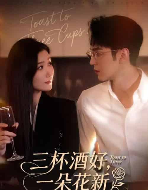 三杯酒好,一朵花新&星晚辞旧霁雪迎新(70集全)希尔力&那馨-搜外项目网