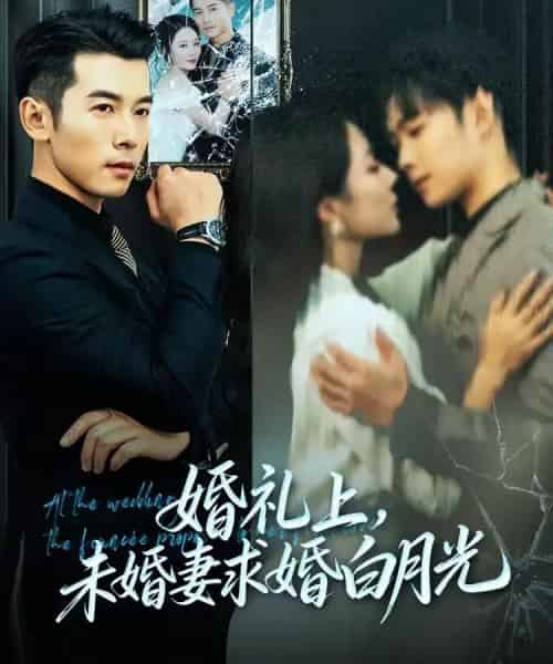 婚礼上，未婚妻求婚白月光（70集全）赖艺＆钟嘉玲-搜外项目网