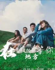 在有风的地方等你（32集）-搜外项目网