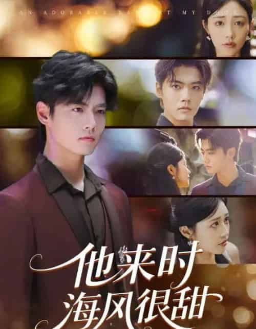 他来时海风很甜(60集)顾安然&沈宇凡-搜外项目网