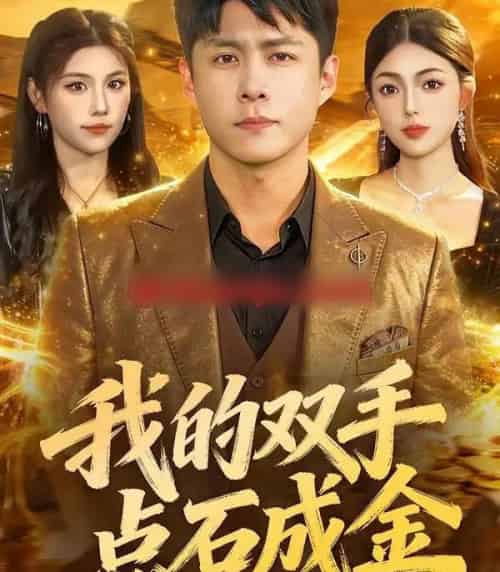 我的双手点石成金(85集全)韩雨轩&邵迪-搜外项目网