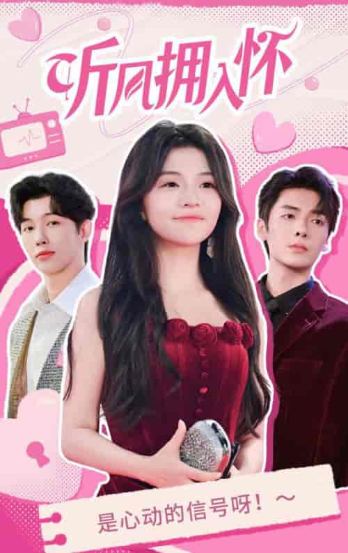 听风拥入怀(50集全)段美洋&付予-搜外项目网