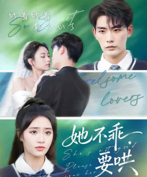 她不乖要哄（66集全）张昊＆黄也坪-搜外项目网