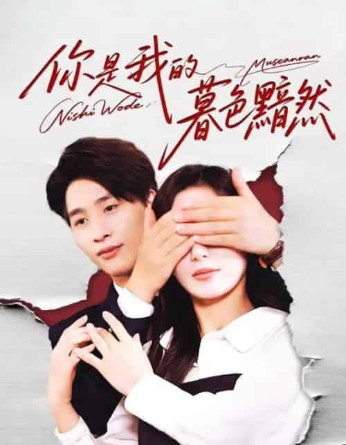 你是我的暮色黯然(80集全)陈运宣&刘亚倩-搜外项目网