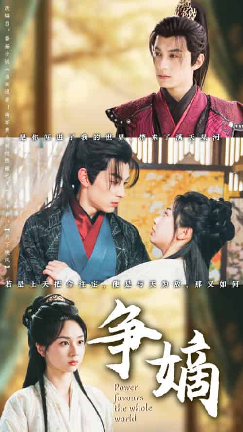 争嫡（67集）张屹杨＆张紫菡-搜外项目网