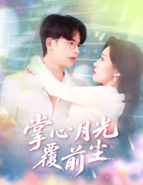 掌心月光覆前尘（80集）王浩博＆孙同钰-搜外项目网